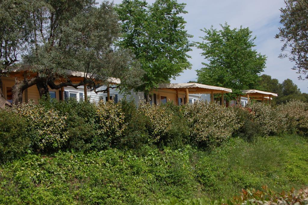 Camping Terra Alta Bot المظهر الخارجي الصورة