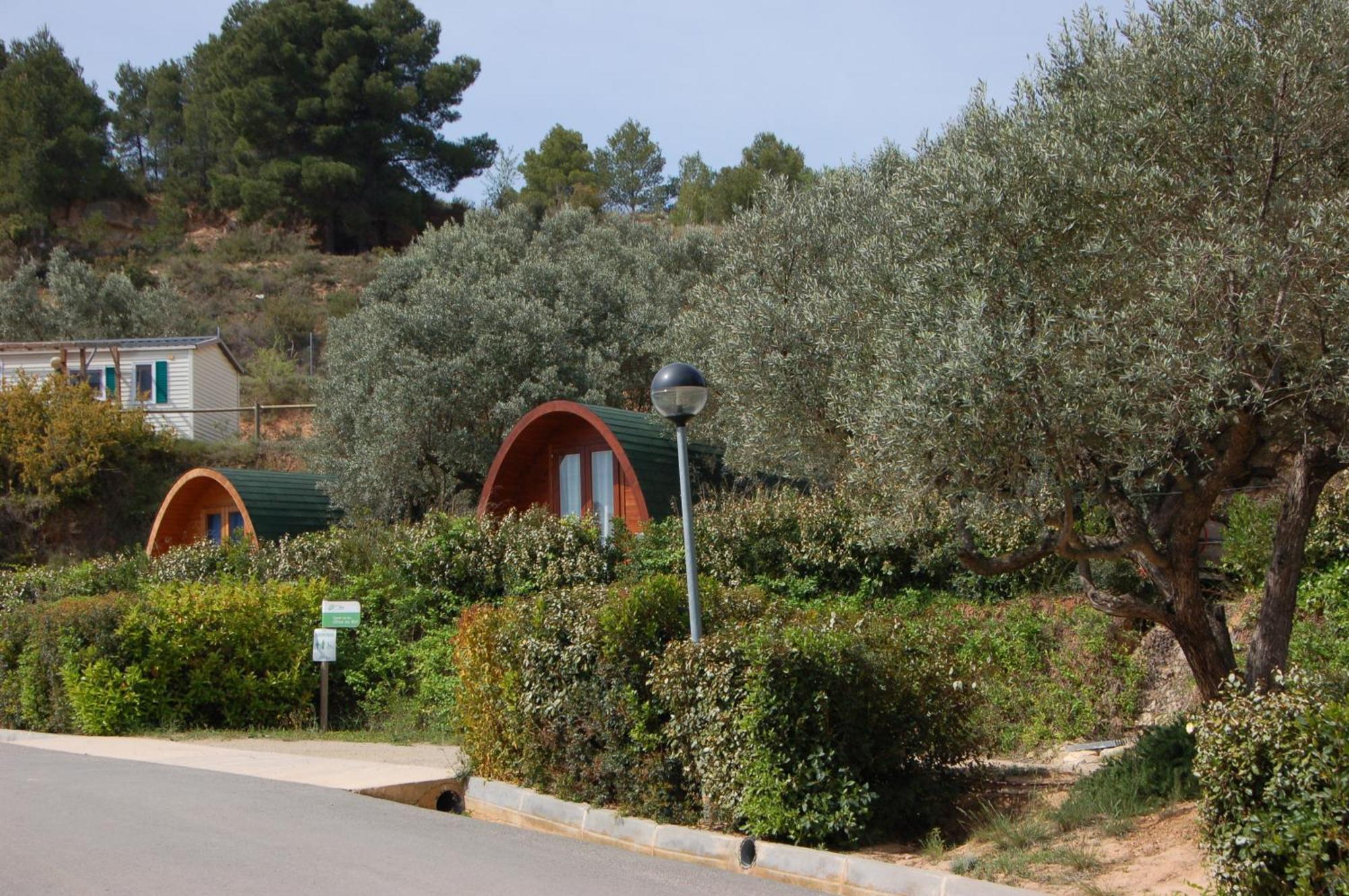 Camping Terra Alta Bot المظهر الخارجي الصورة