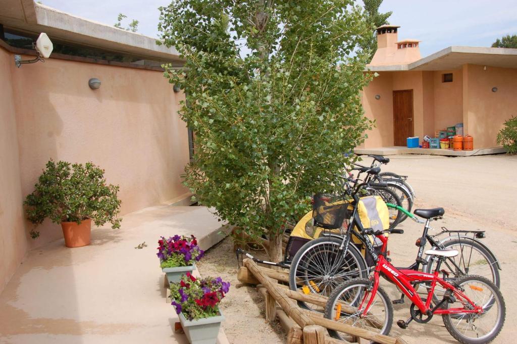 Camping Terra Alta Bot المظهر الخارجي الصورة