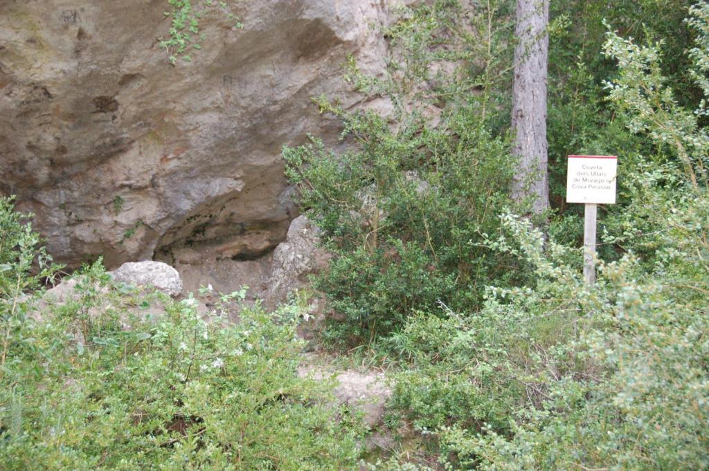 Camping Terra Alta Bot المظهر الخارجي الصورة